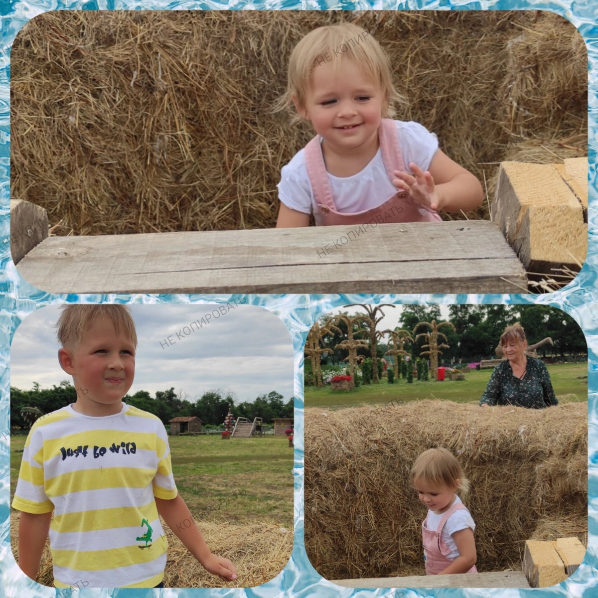 В соломенном лабиринте