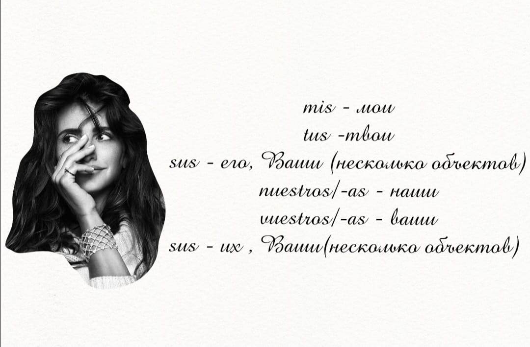 Местоимения-прилагательные во множественном числе