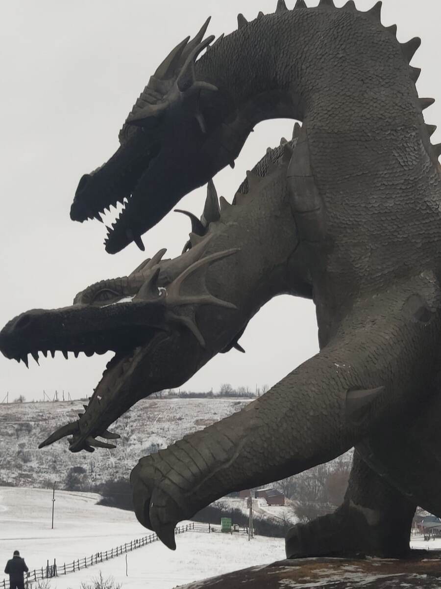 Это фото сына