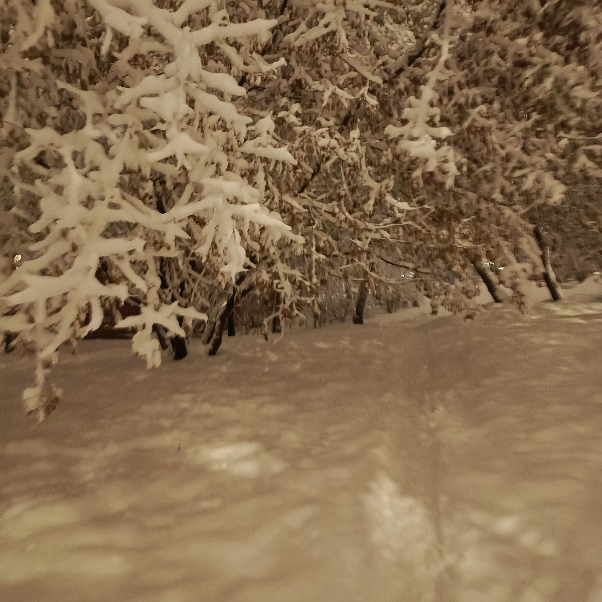 Под тайным покровом