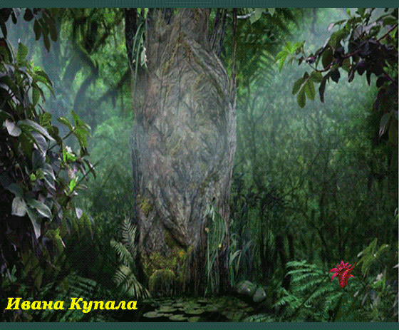 Ищи-свищи цветочек по лесам... авось богат будешь!