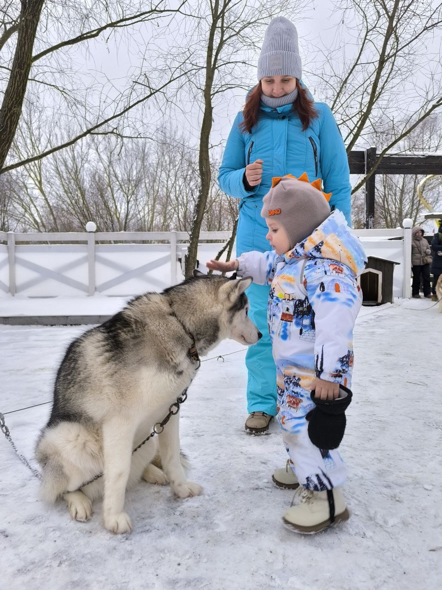 А потом она пыталась стащить у Макса варежку)