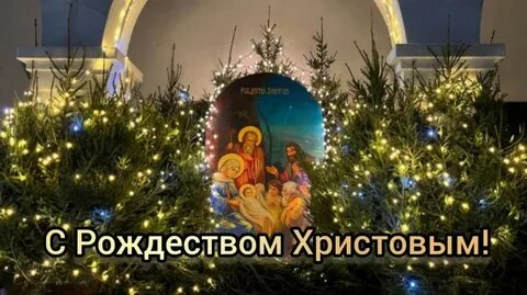 Фото из интернета.