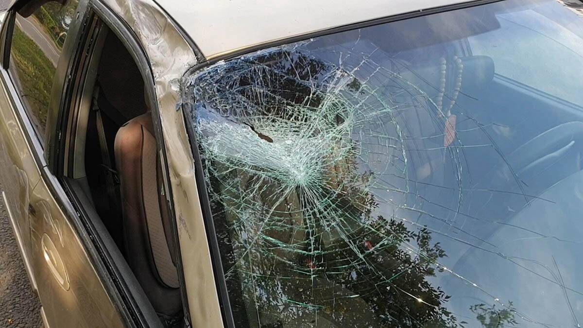    Фото: Мобильный репортер / АГН Москва