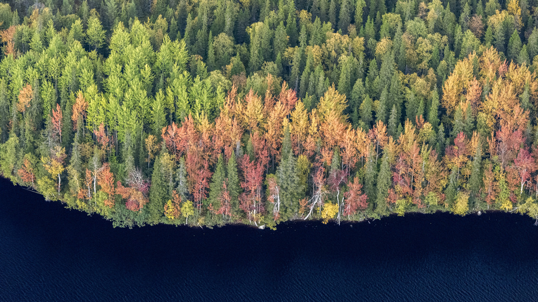    Фото: Serguei Fomine/Globallookpress