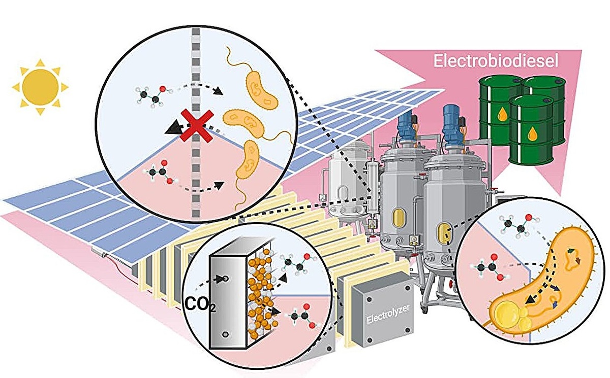 Рисунок: Университет Вашингтона в Сент-Луисе