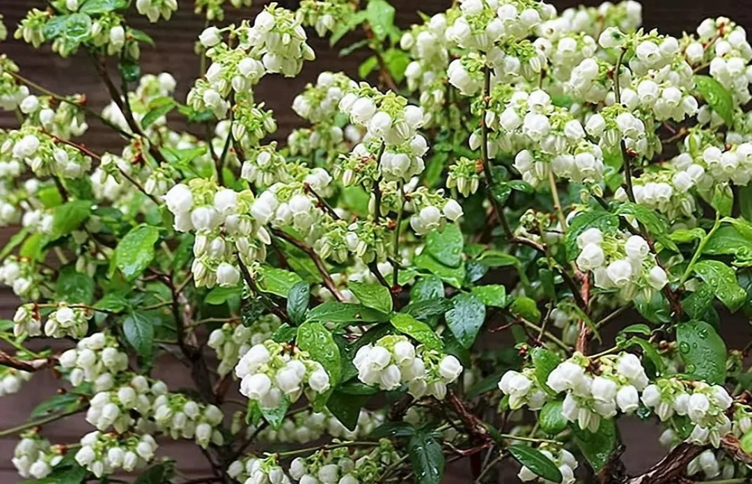 Фото из открытого источника