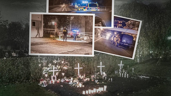    В Швеции снизилось количество перестрелок