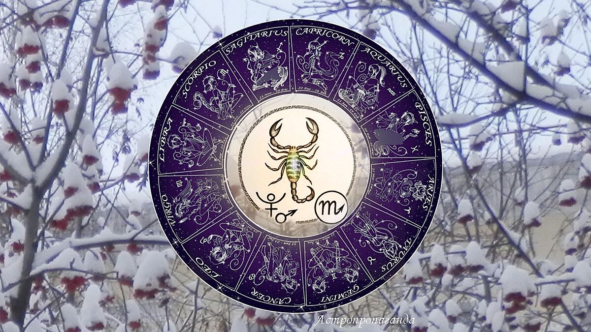 Гороскоп на январь 2025 для Скорпиона. Гороскоп для Скорпиона с 6 января по 2 февраля 2025. 