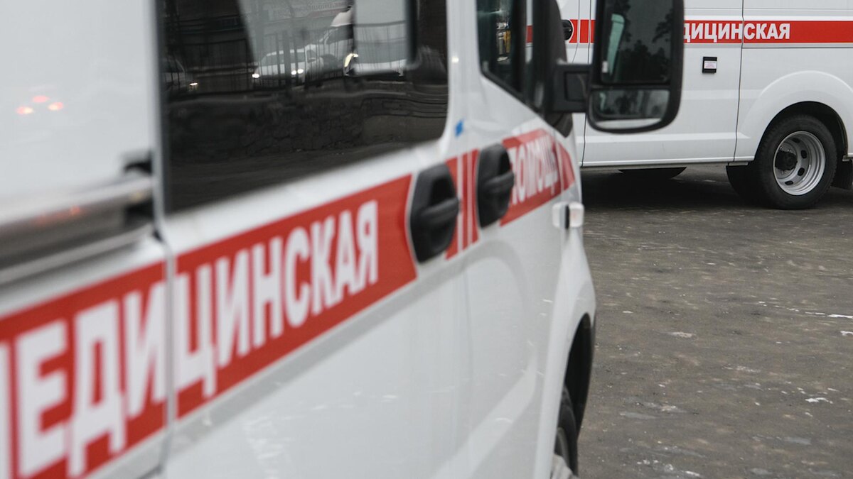    Фото: Ilya Moskovets/globallookpress.com