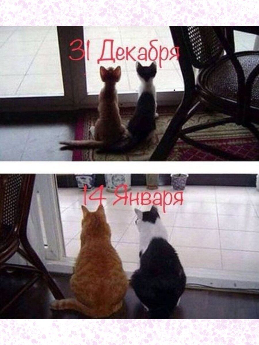 Картинки приятного отдыха и хорошего настроения