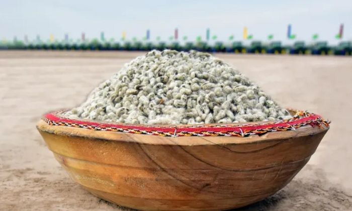 Источник фото: turkmenistan.gov.tm