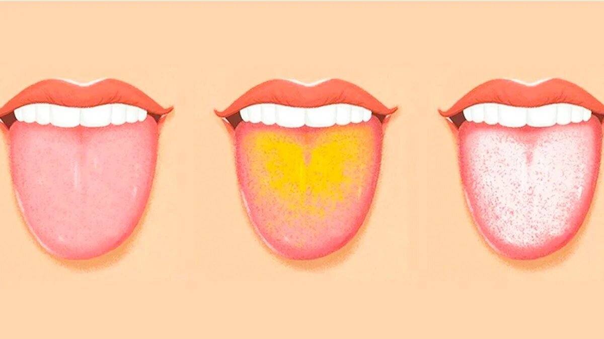 фото источник karar.com