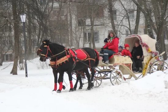    Фото: Кирилл Искольдский