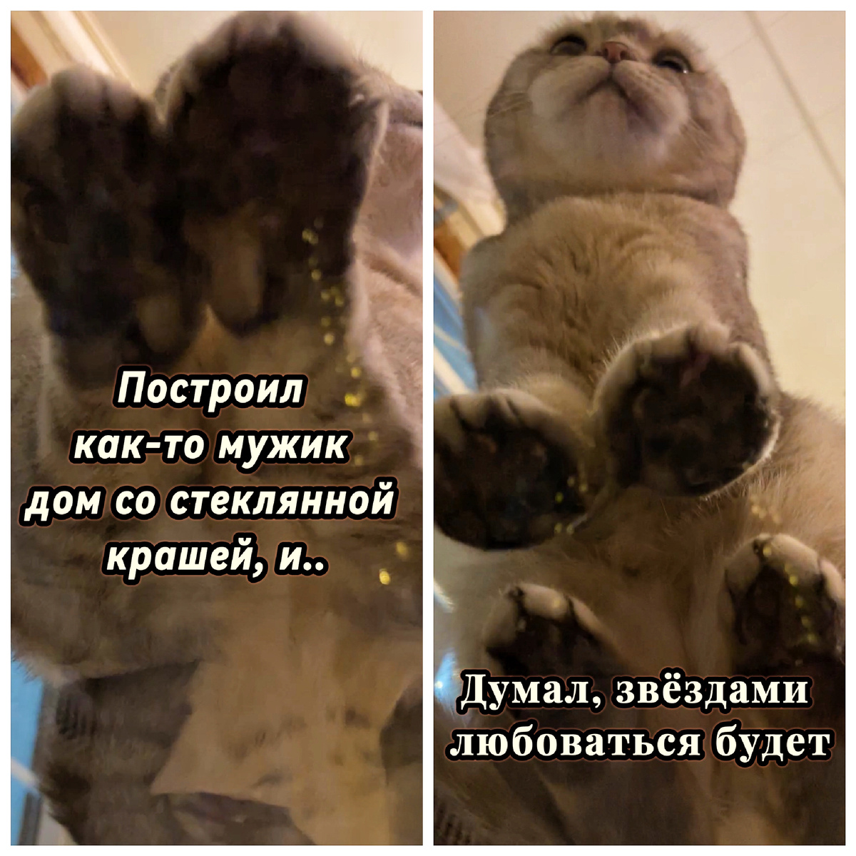 Всю красоту я, конечно, вам не показала🤭😻