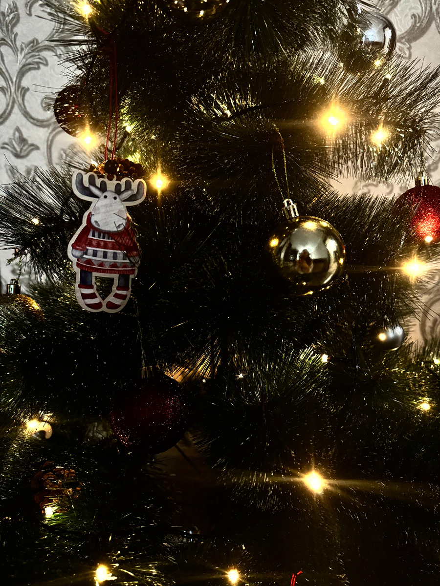 С наступившим 2025 годом