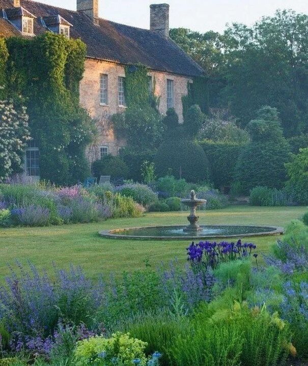 Фото взято из открытых источников...