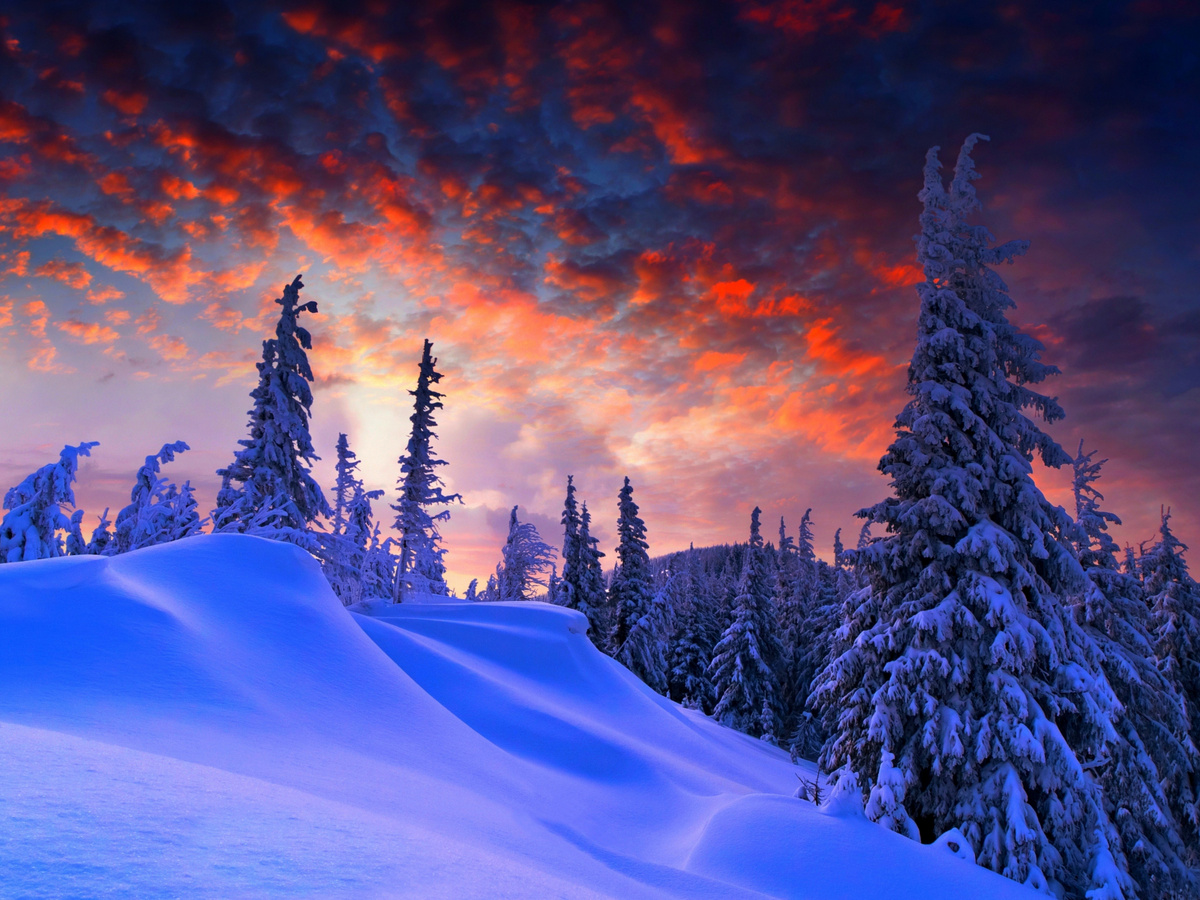 Фото взято из интернета.