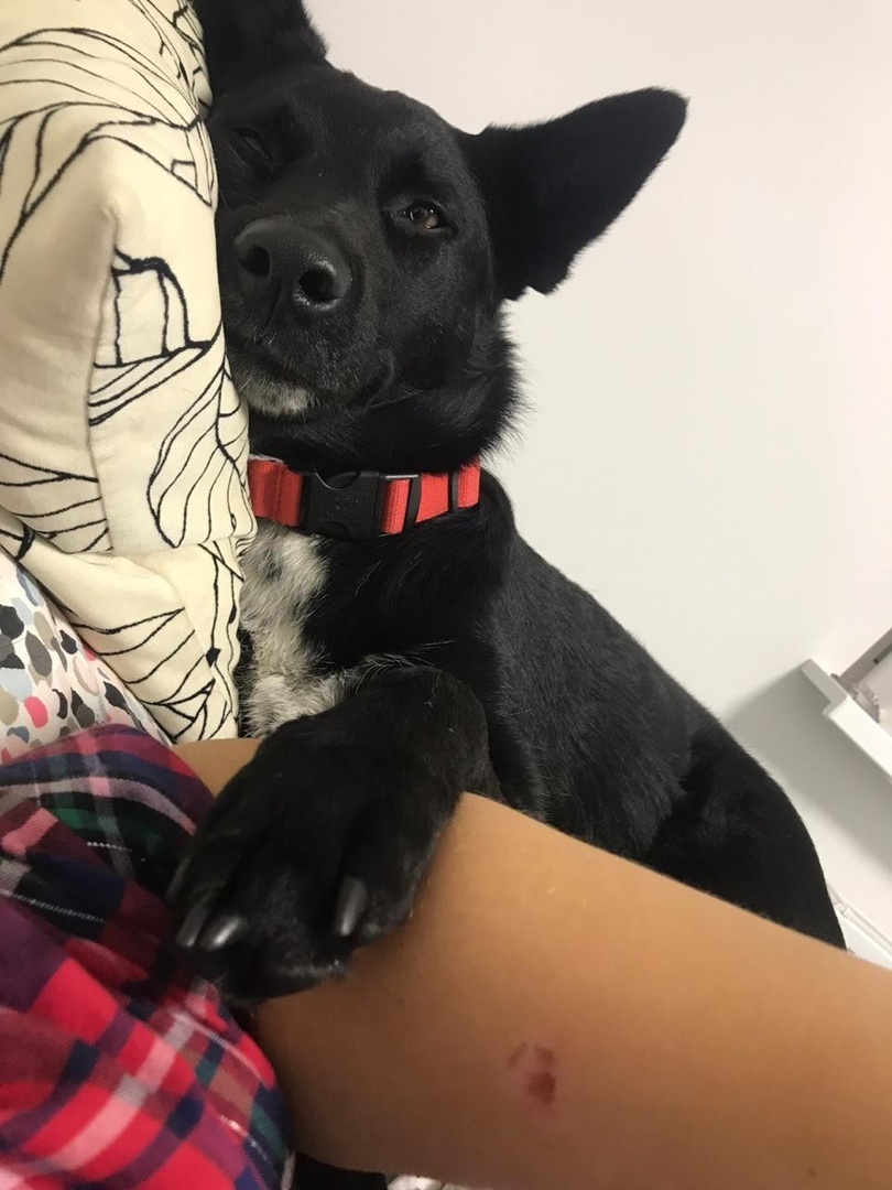 Ой! Ну наконец-то про меня написали. Тыщу лет вестей же не было