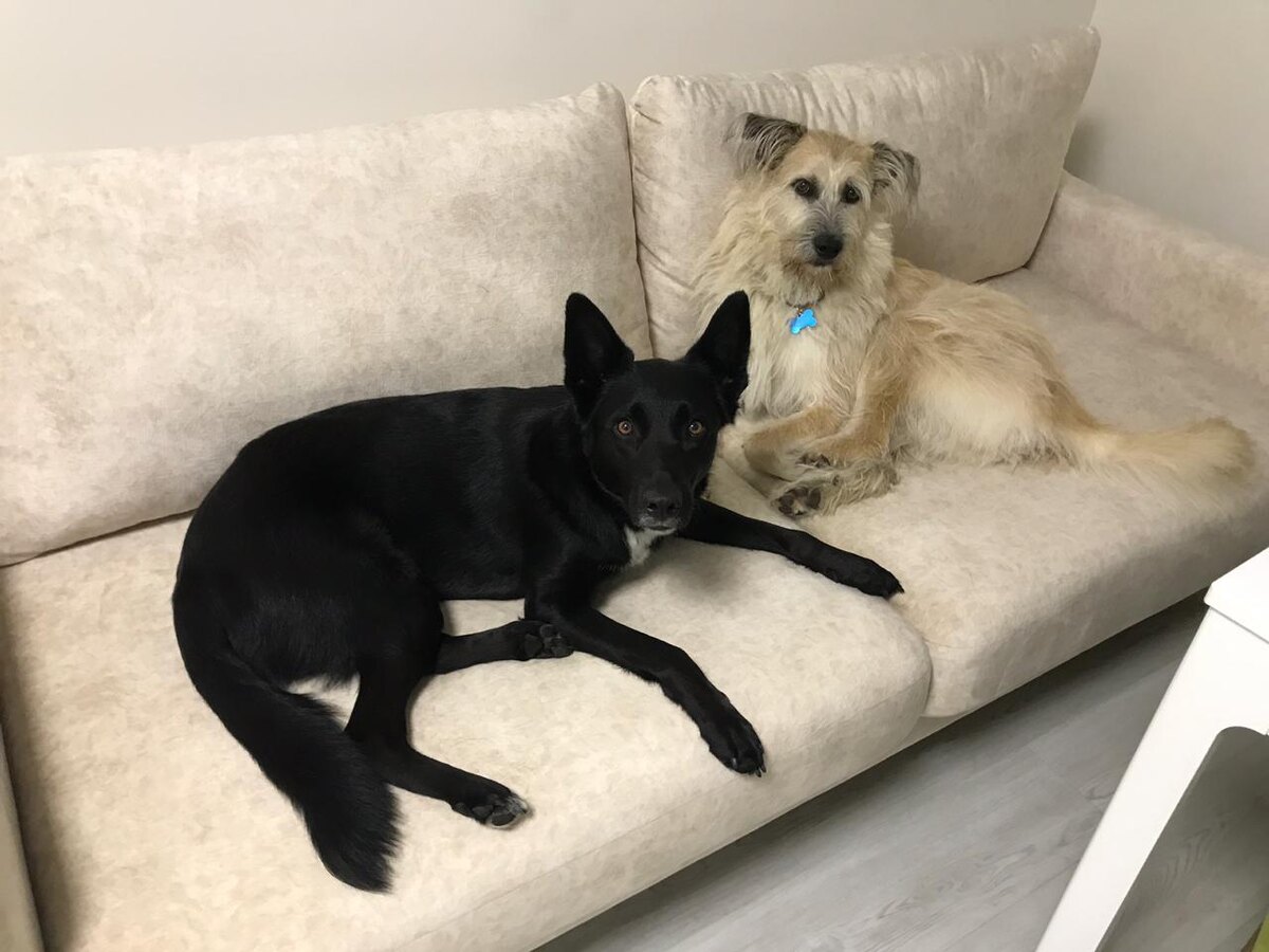 Какие мы интриганты