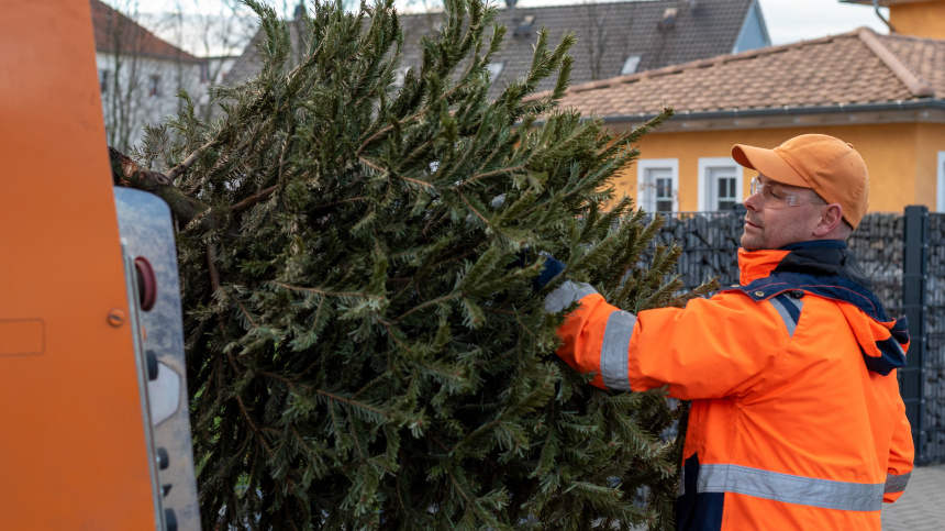    Фото: www.globallookpress.com/Stephan Schulz