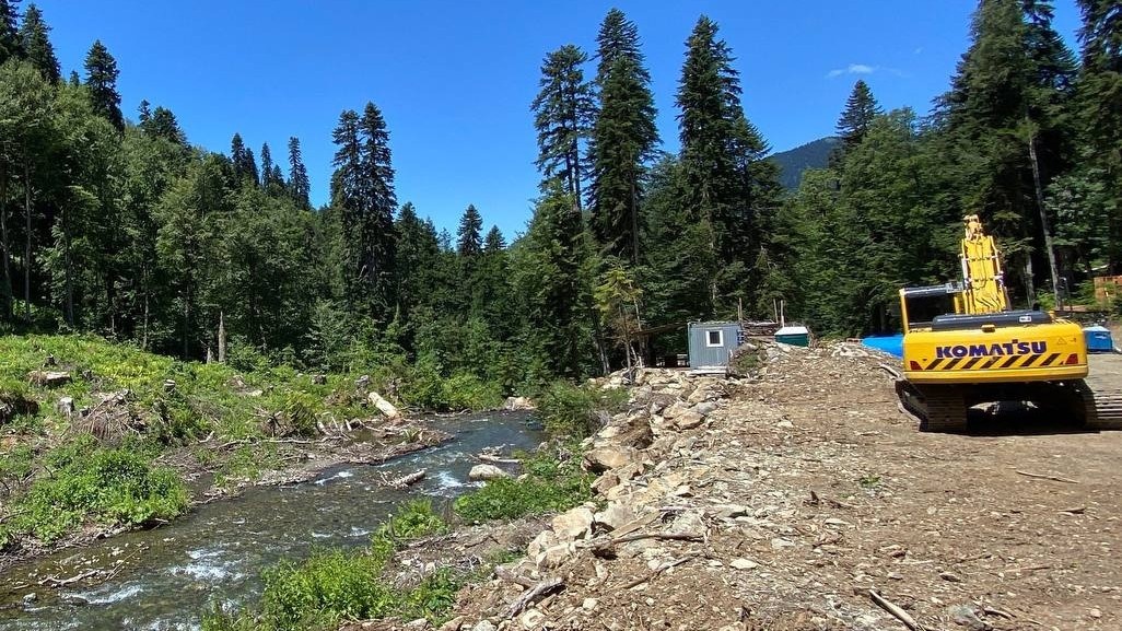 Источник: https://sochi-bloknot.ru