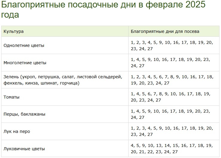 Посев семян помидор в марте 2025