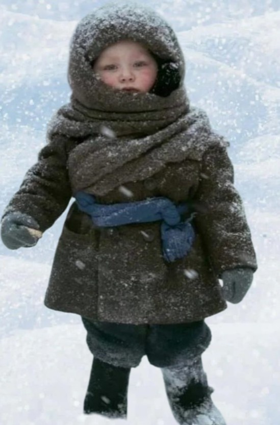 (Фото из открытых источников)