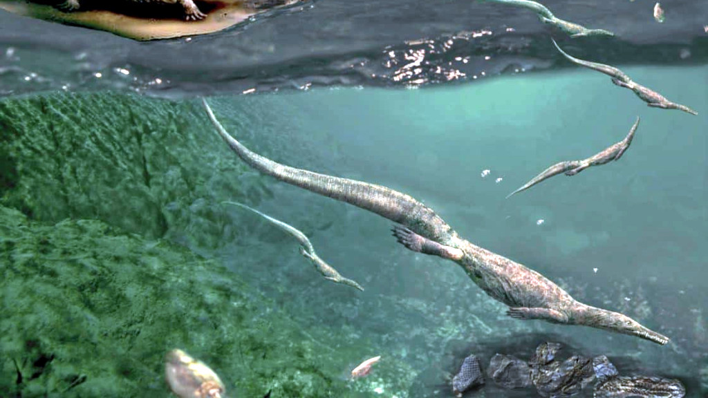 Мезозавры были вполне приспособлены к жизни в воде.