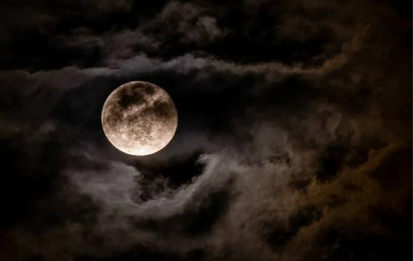 Фото взято из интернета 