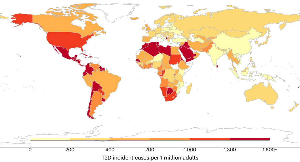   Laura Lara-Castor et al. / Nature Medicine, 2025