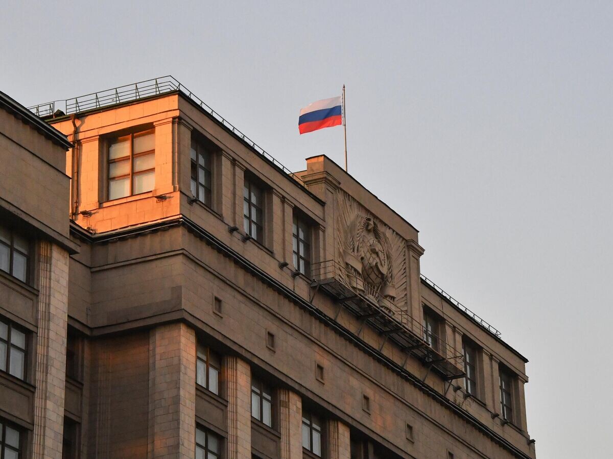    Здание Государственной думы России в Москве© РИА Новости / Наталья Селиверстова