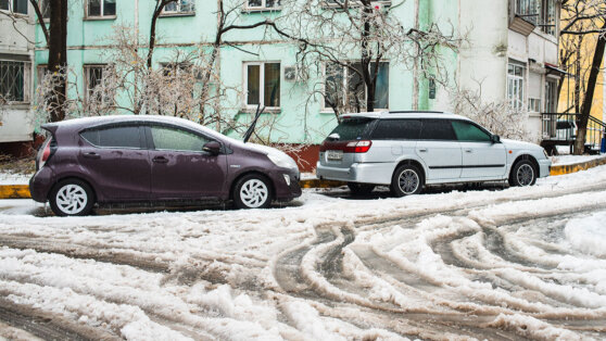    Тепло накроет всю Европейскую Россию и доберется до Сибири Андрей Галкин