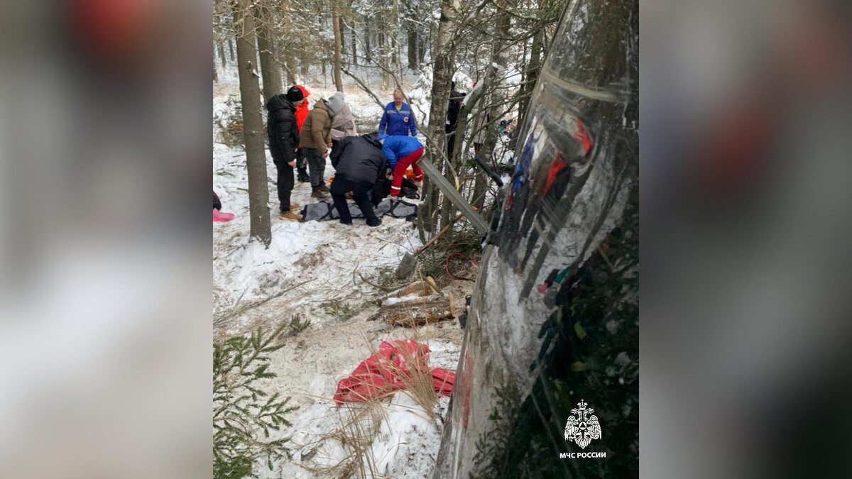    Фото: t.me/mchs_official