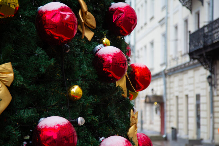    Фото: Общественная Служба Новостей Екатерина Шахнина