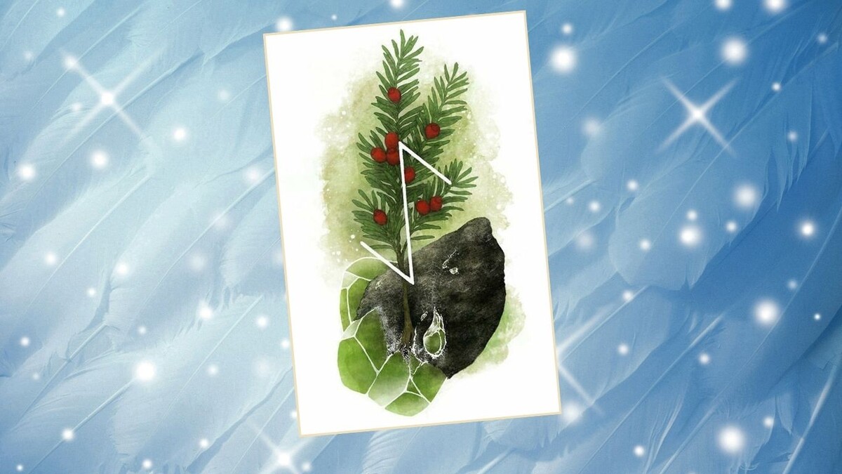 Какое послание вам передают  Высшие Силы