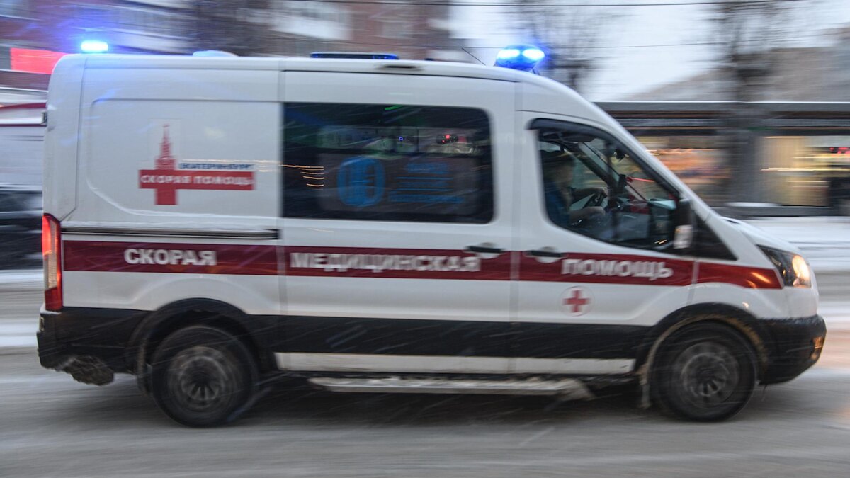 Фото: Ilya Moskovets/globallookpress.com