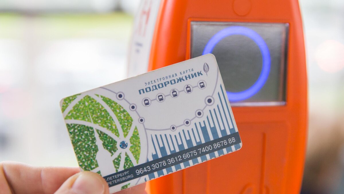 Фото: Aleksey Smyshlyaev/globallookpress.com