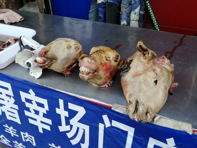 Му-у. В смысле бе-э. Впрочем они теперь молчаливы