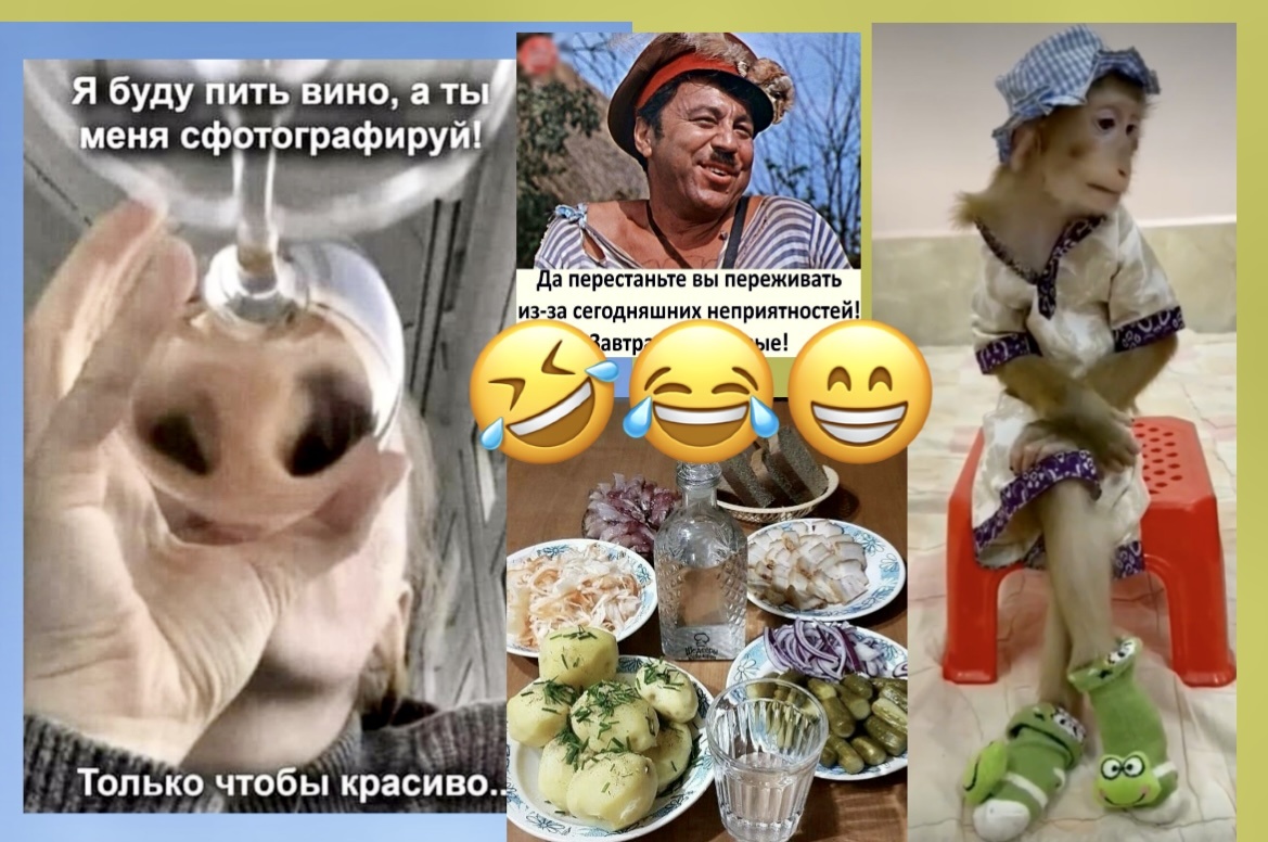 А мне зеркальце в ответ: - ПРОТРЕЗВЕЙ, ведь Я планшет❗️🤣Весёлая карусель анекдотов и подборка ржачно юморные картинки до слёз