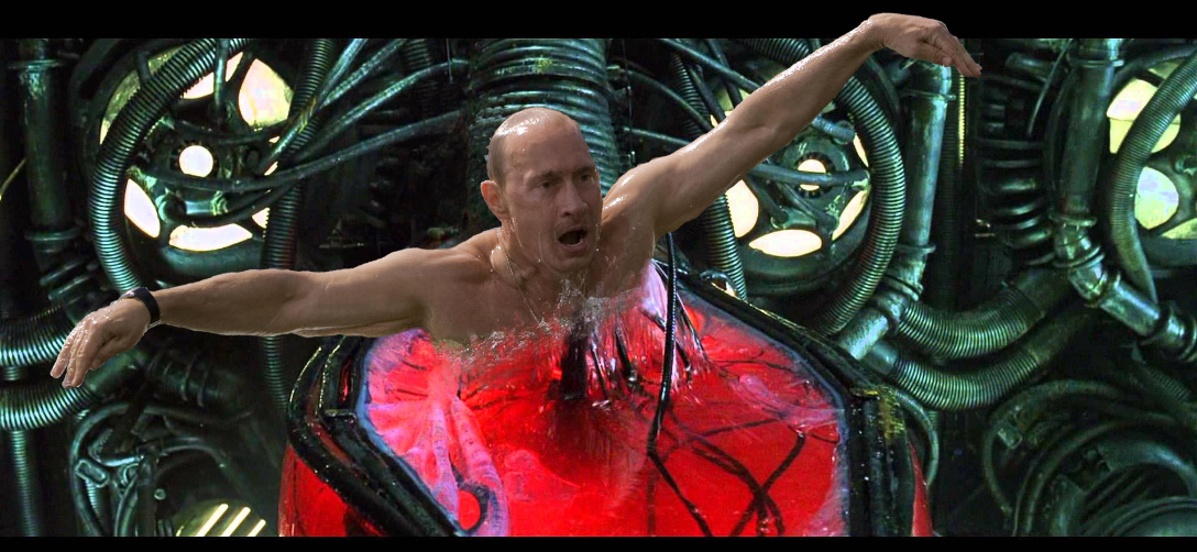 яндекс картинки