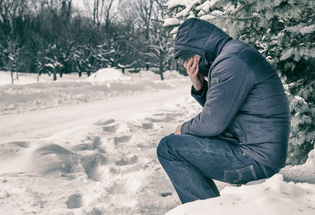 Яндекс картинки