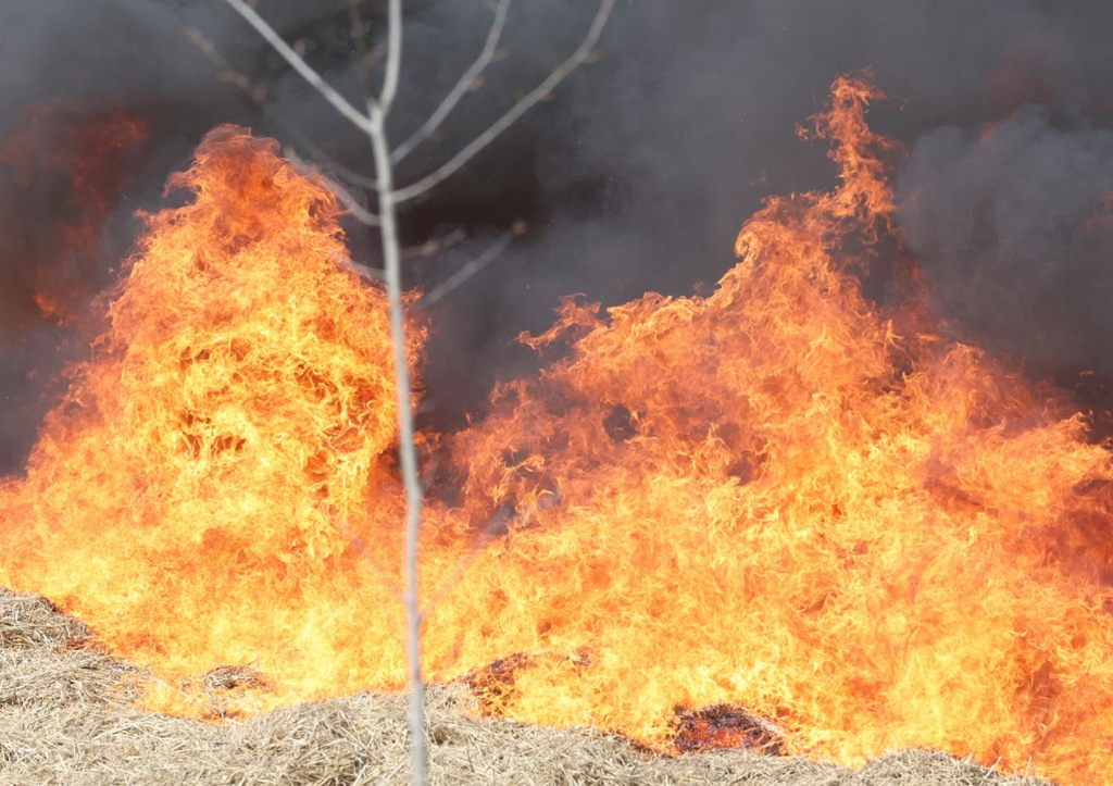    Фото: news.ru Георгий