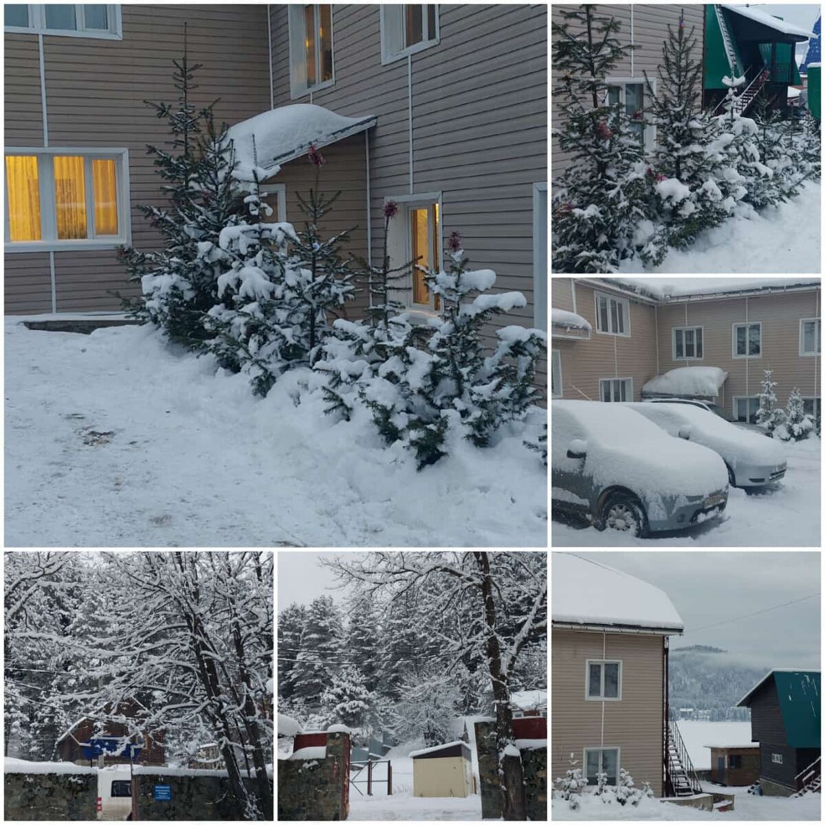 Жемчужина-Телецкое 