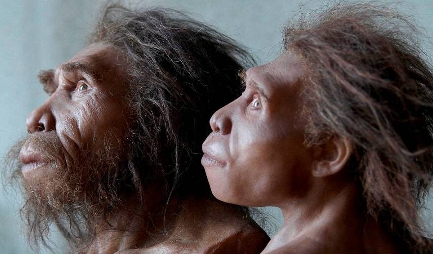 Homo georgicus