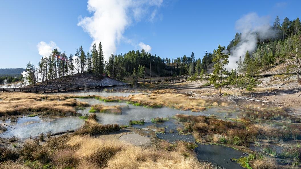    Фото: Mara Brandl/Globallookpress