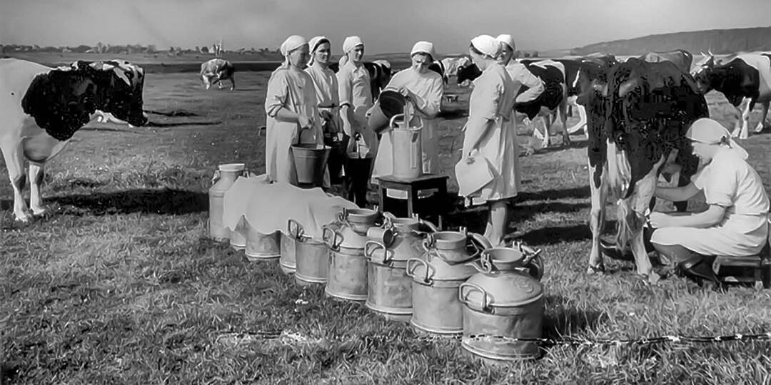 Правда ли, что СССР производил недостаточно продовольствия?