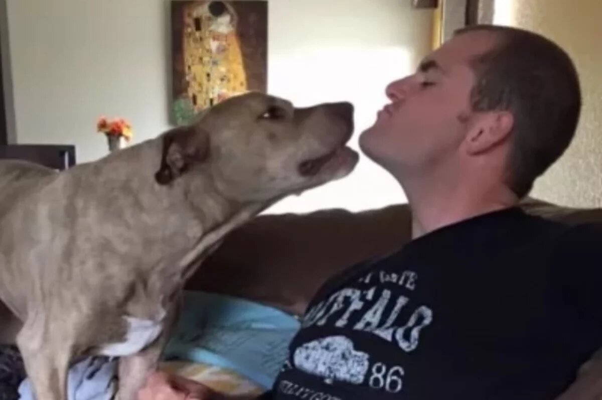    Подозреваемый в подрыве Cybertruck готовил преступление при помощи ChatGPT