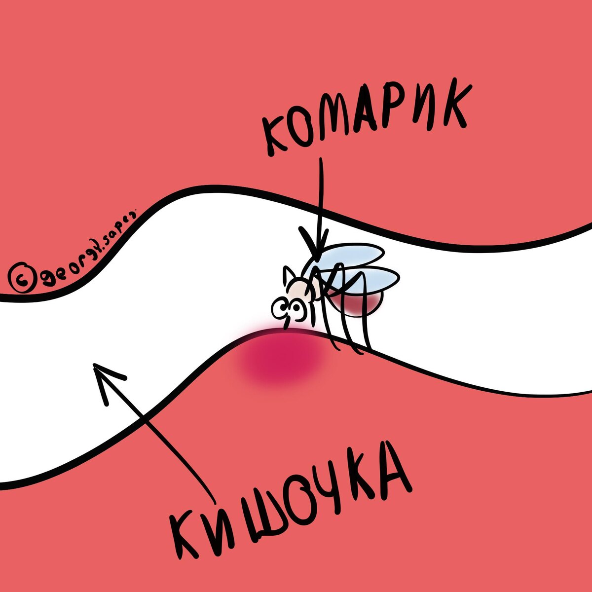 Комарик в кишочке