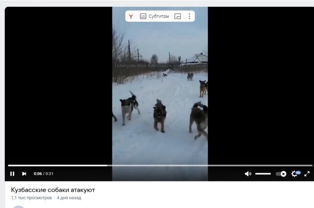    Скриншот с видео. Фото: Скриншот